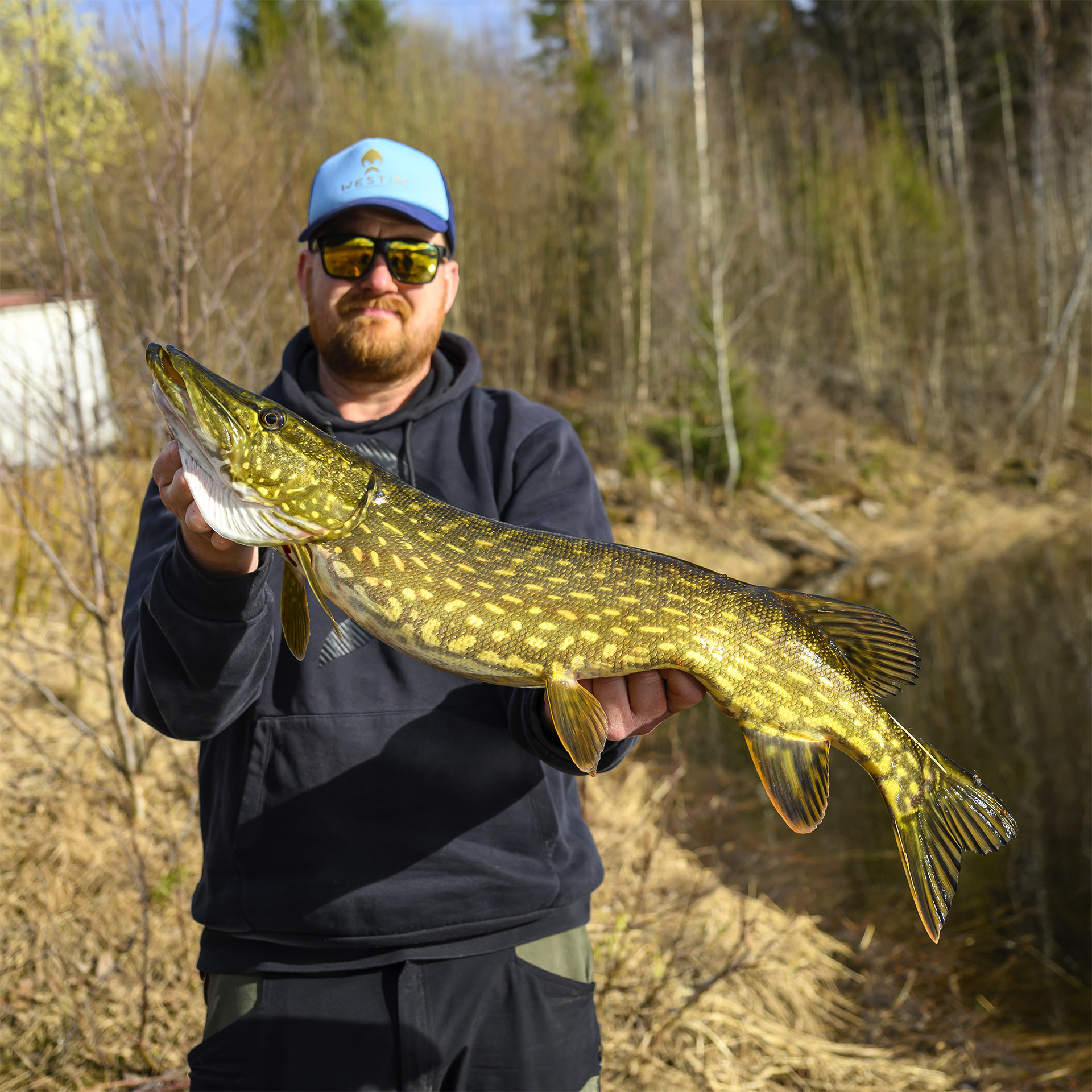 Faxelven - fiskeri efter stalling, gedde, aborre samt ørred og laks