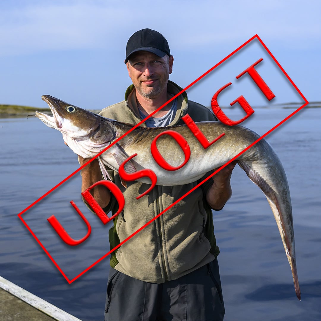 Smøla - havfiskeri efter torsk, sej og langer 6. - 11. maj 2026