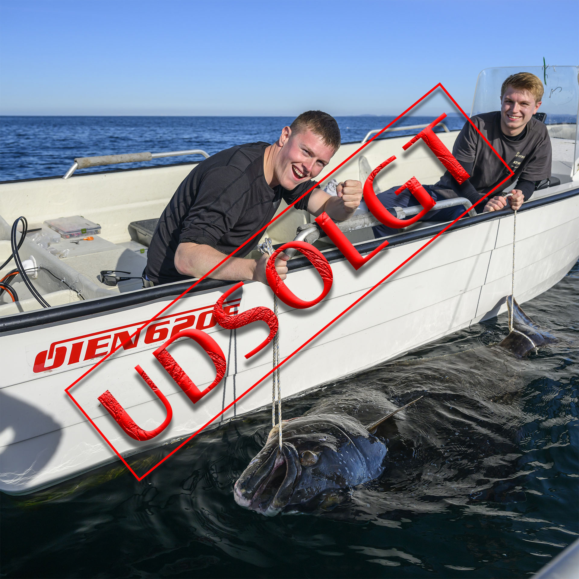 Smøla - havfiskeri efter torsk, sej, langer og helleflyndere fra d. 28. juni - 3. juli 2026